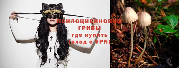 твердый Вяземский