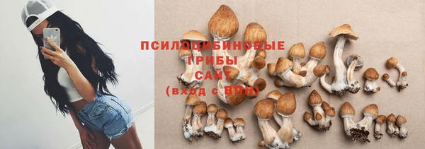 PSILOCYBIN Вязьма