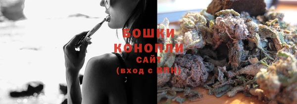 твердый Вяземский