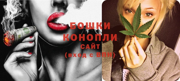 твердый Вяземский