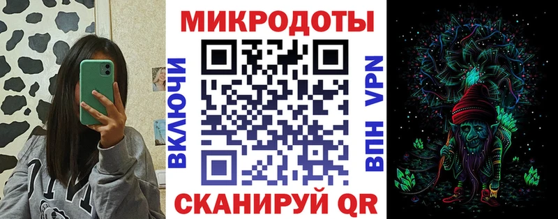 Псилоцибиновые грибы Psilocybine cubensis  Енисейск 